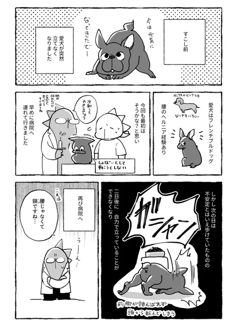 愛犬と椎間板ヘルニア手術の日記です 