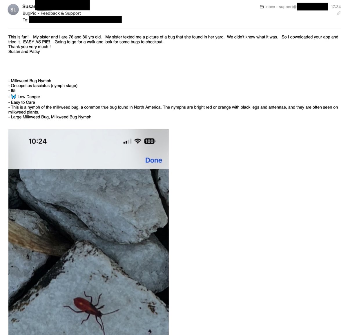 Rafs🦄✨ tweet media