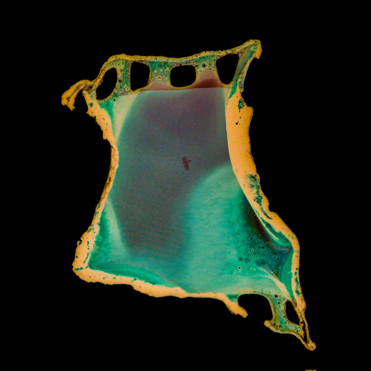 Still I Fly 

🔗 <a href="/objktcom/">objkt</a> 
Ongoing open edition  4 $XTZ
#TezosTuesday