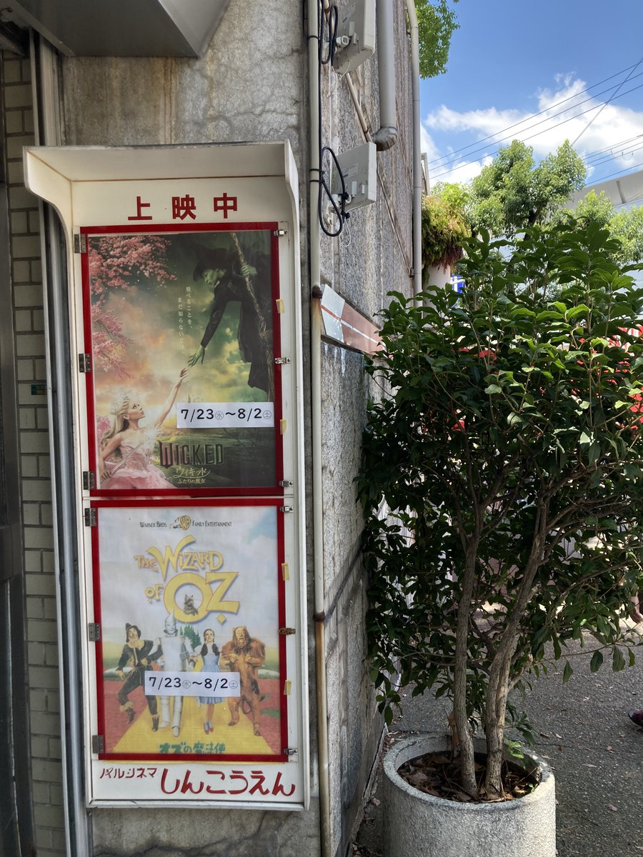 kukai_radio's tweet image. パルシネマで
『オズの魔法使』
『ウィキッド ふたりの魔女』
念願の2本立て上映✨

オズ観てからのウィキッド冒頭、めっちゃテンション上がった〜♪
それ以外にもオマージュたっぷりで素晴らしい🙆‍♂️
オズは初見。1939年でこの完成度すげぇ！名作やわ👏
80年以上経ても映画館で楽しめるのはありがたい😊