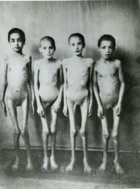 Real Starvation. Real Genocide.