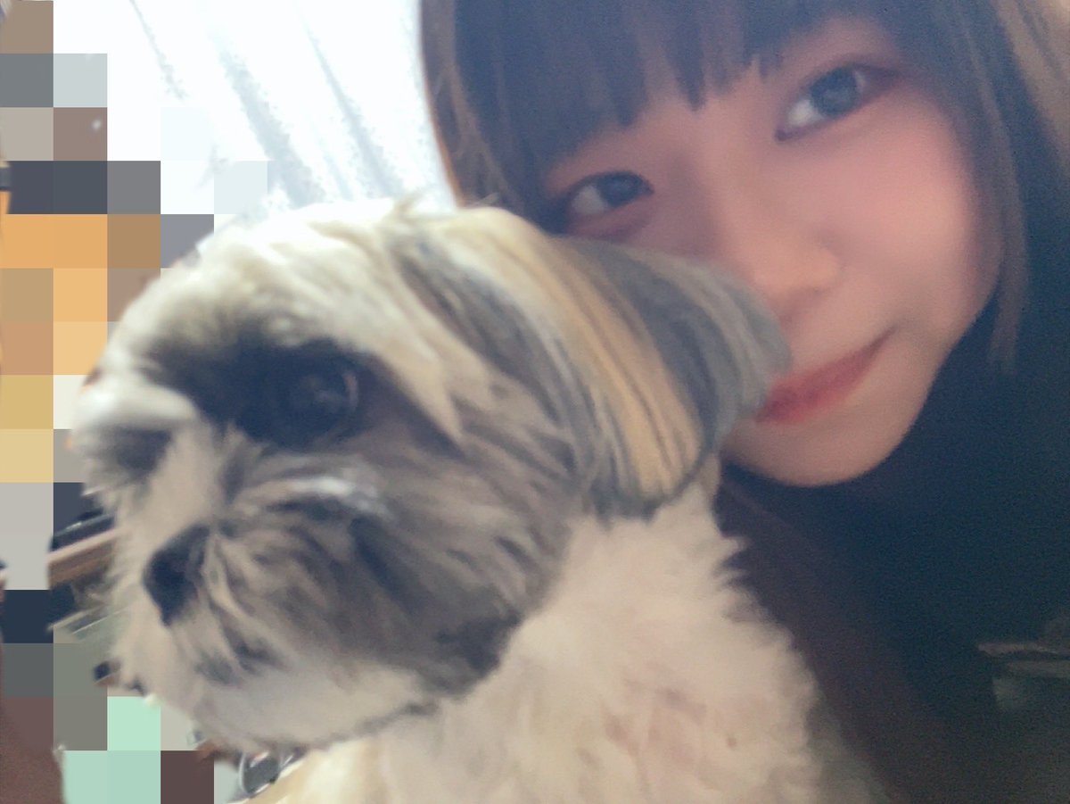 marudayo_Ba's tweet image. 罰ゲームの毎日自撮り投稿2日目📸

今日は実家に帰ったので愛犬と撮ったよ〜
写真撮ろうとすると全然こっち向いてくれない😭😭そしてちょいブレ

 #ガールズバンド #ふれふら #ふれふらじお