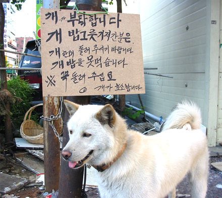 내 취향 사진들 (@myfavzzal) on Twitter photo 