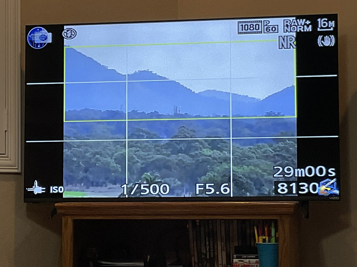 Bubbinski's tweet image. No launch right now. Let’s see what happens.