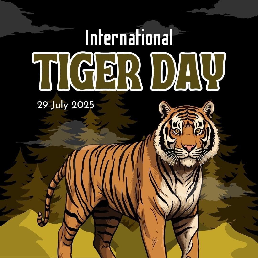 RishabhAeri's tweet photo. Our country India is the natural home for tigers as a major percentage of tigers live in India and it is a responsibility to secure the habitat of tigers so the population of tigers can prosper in India 🇮🇳
#Tigers
#InternationalTigerDay
#population 
#indiantiger 
#tigerday https://t.co/70dz5VYiCN