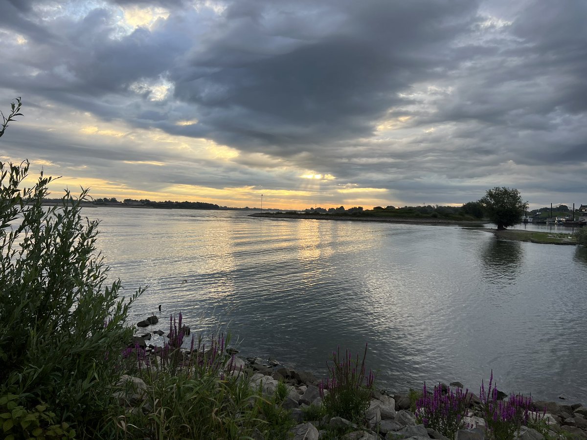 Goedemorgen 🇳🇱 rivier de #Waal
