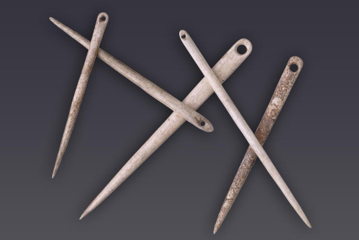 HistorylandHQ's tweet image. These sewing needles, found at grotte du Placard in France, were made from animal bone some 15,000 years ago. Now housed at the National Archaeological Museum of France [1867x1247]
