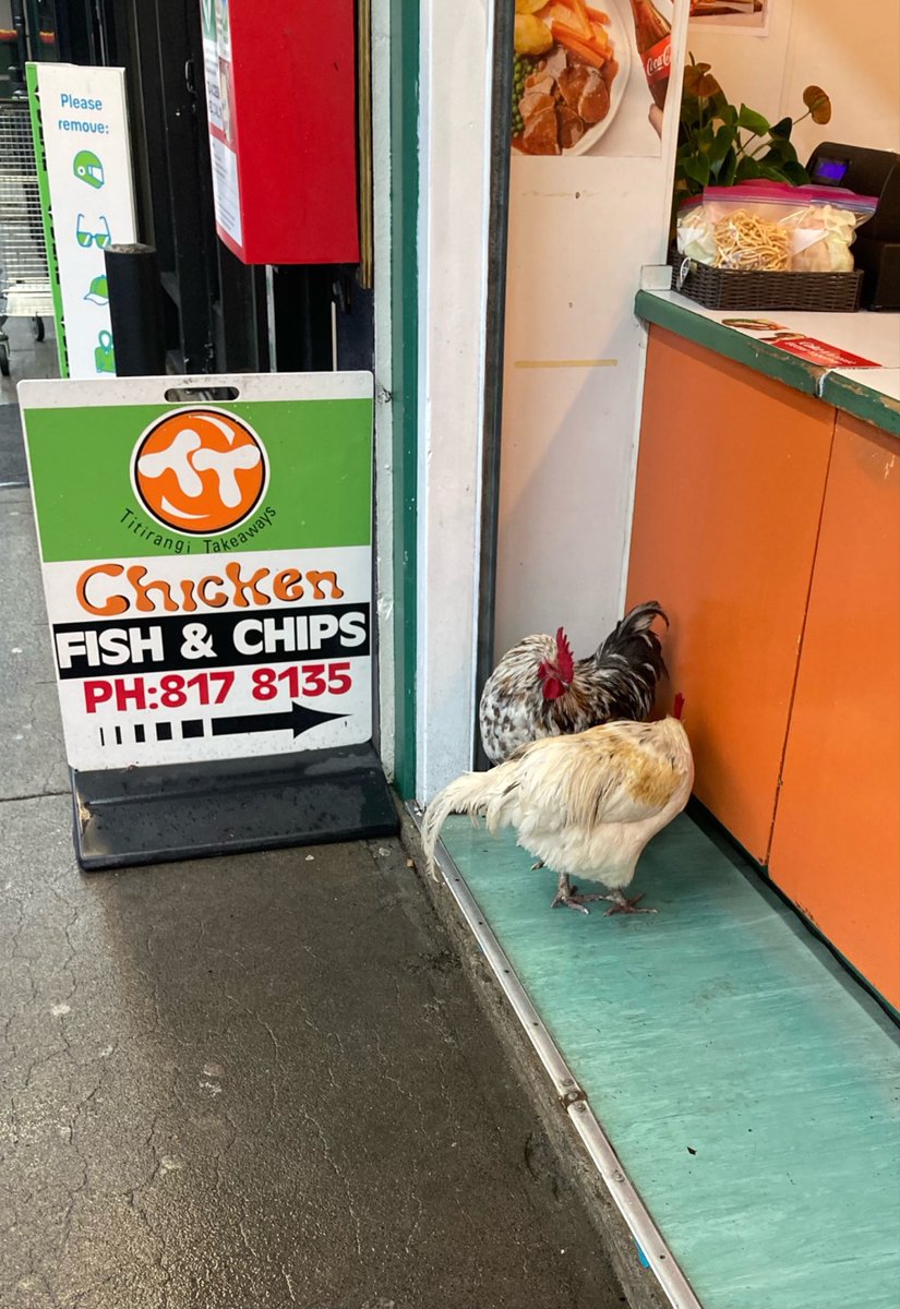 really taken with this photo my dad just sent me from his holiday in aotearoa