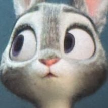 Li_Dorky's tweet image. Judy surely smelled tf out from the Nick's shirt that he forgot/left her before going tot he Academy...