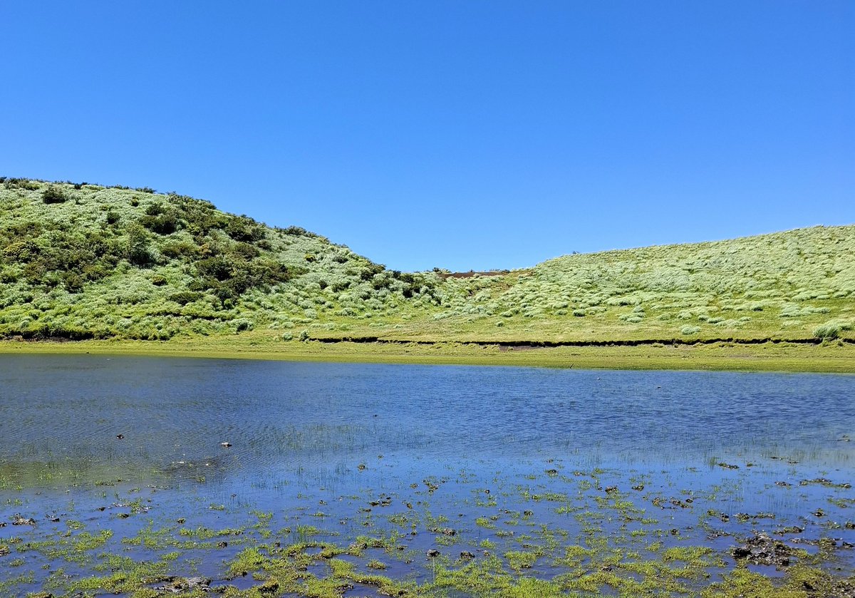 伊勢白山道さんの記事をご紹介致します🙇✨️#ライブドアブログ
2025年8月の自然観察日

⬇️記事はコチラ⬇️
isehakusandou.blog.jp/archives/59328…