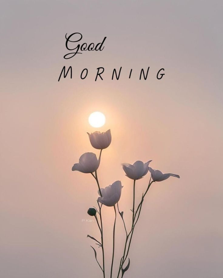 Good Morning X family 
May your day overflow with success and happiness.