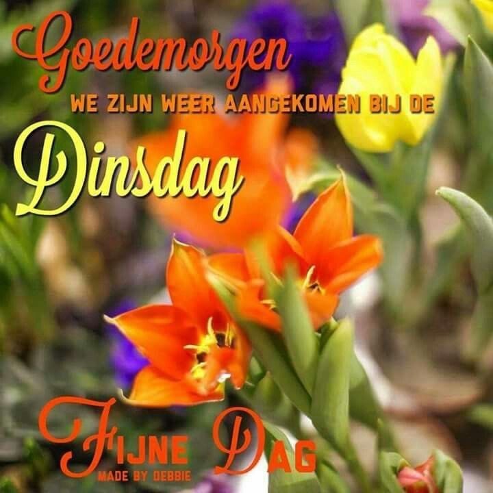 goedemorgen iedereen