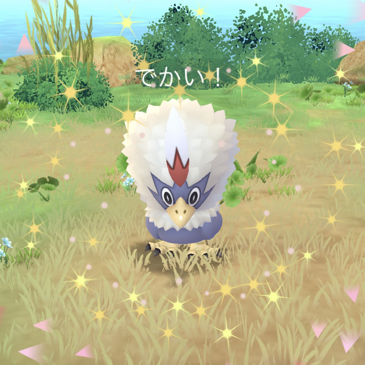 tsubuya502's tweet image. でかい！