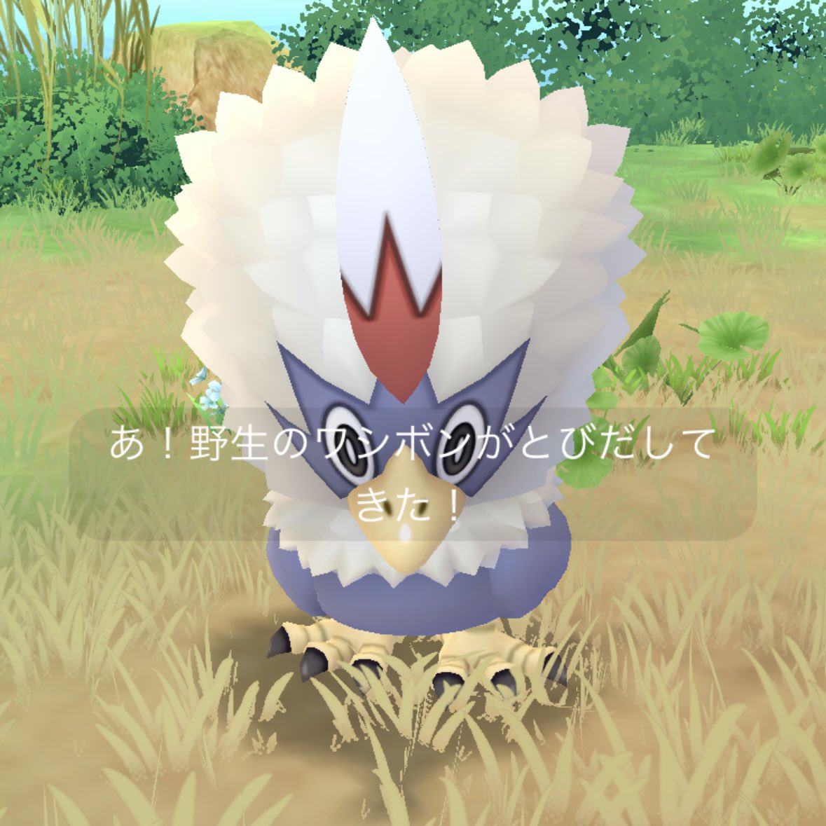 tsubuya502's tweet image. でかい！