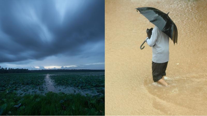 AI models like #RandomForest and #XGBoost achieved 76.6% accuracy in predicting #rainfall across major Indian cities, offering new insights into urban precipitation patterns. While #Hyderabad and #Mumbai see increases, #Delhi and #Kolkata face declines, with #Bangalore showing