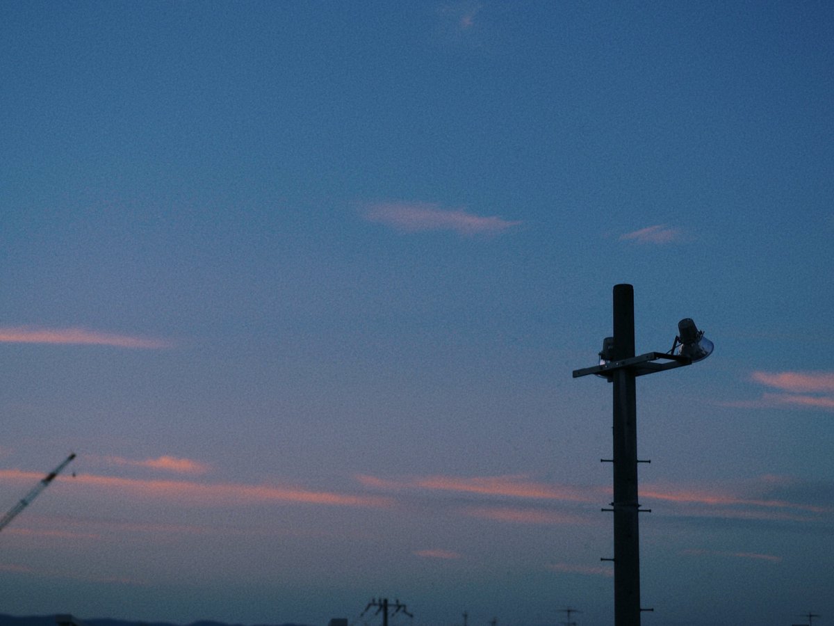 ᴍᴏᴏɴʟʏ tweet media