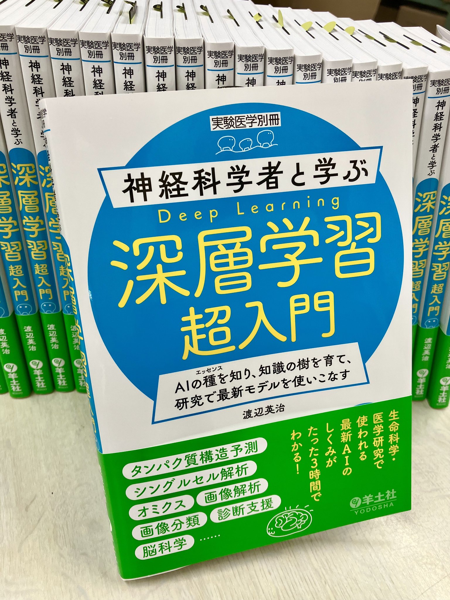 ヒトの動きの神経科学シリーズ　6冊まとめ売り ヒトの動きの神経科学 |本 | 通販 | Amazon