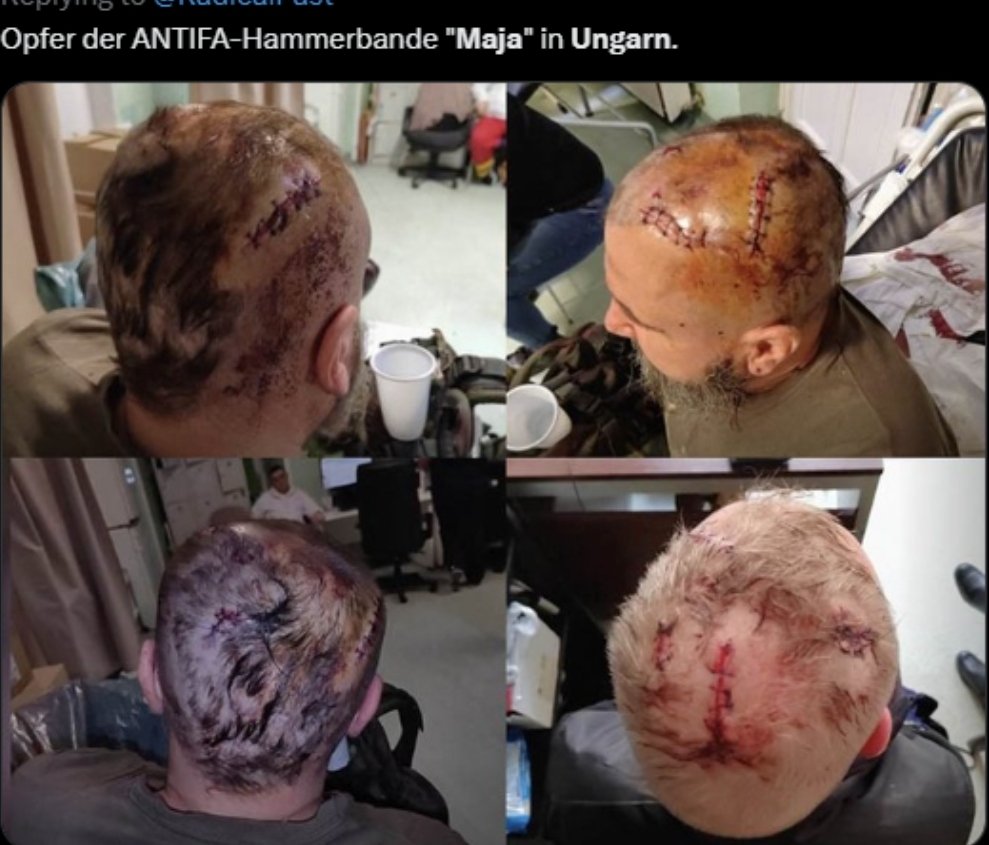 Deutsche Zeitgeist Beobachtungsstelle tweet media