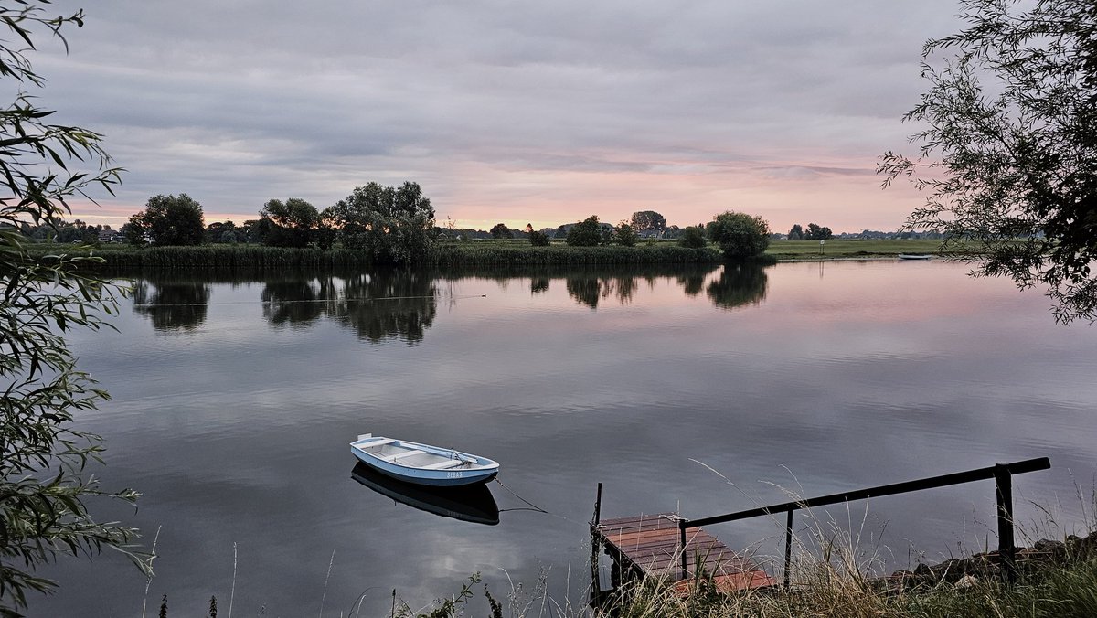 Motormiss's tweet image. Veel bewolking die eindigde in nattigheid vanmorgen. Het beetje kleur boven een spiegelgladde rivier omringde het roeibootje en de bloem van de klis. Het Jacobskruiskruid gaf nog wat kleur tussen de regendruppels 
#Andel #Altena #afgedamdemaas #zonsopgang #bewolkt