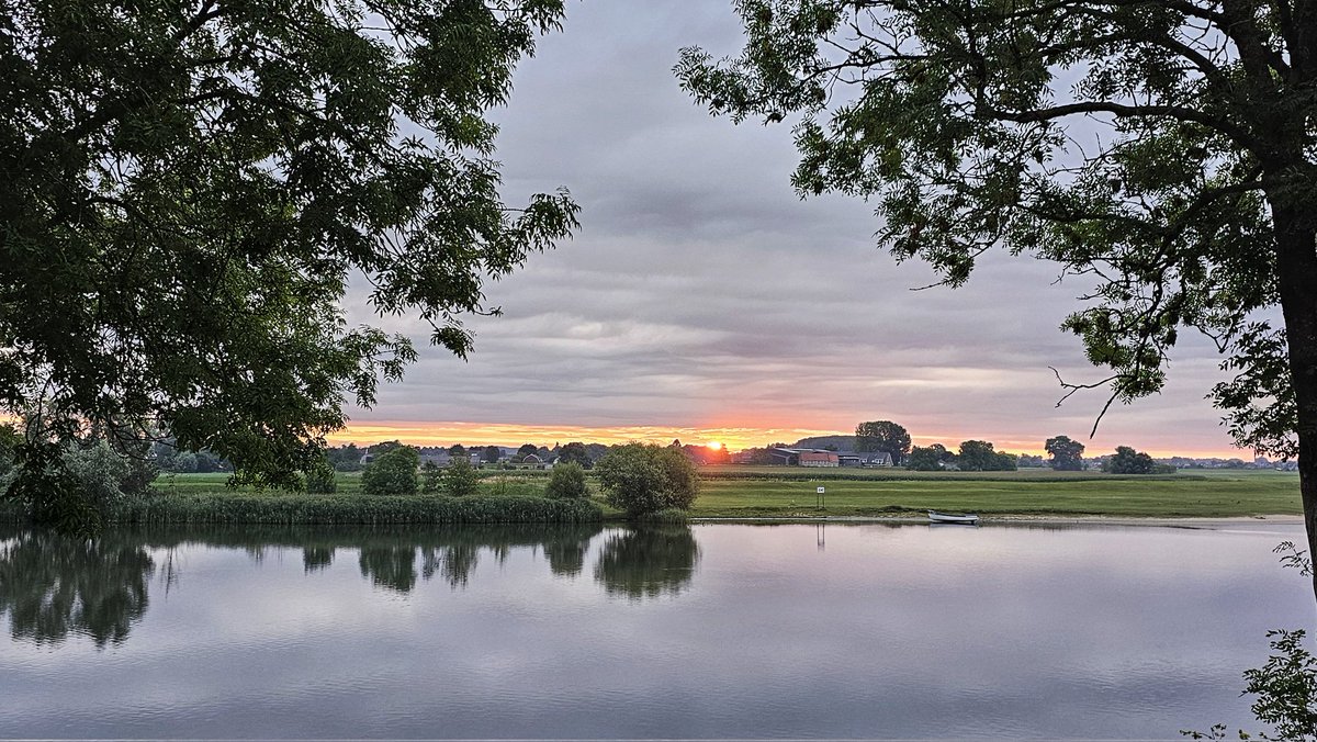 Motormiss's tweet image. Veel bewolking die eindigde in nattigheid vanmorgen. Het beetje kleur boven een spiegelgladde rivier omringde het roeibootje en de bloem van de klis. Het Jacobskruiskruid gaf nog wat kleur tussen de regendruppels 
#Andel #Altena #afgedamdemaas #zonsopgang #bewolkt