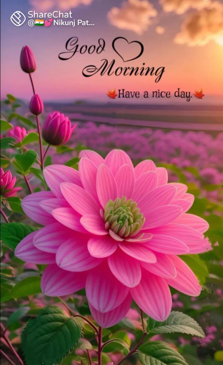 💐.. स्वस्थ व खुश सुबह 

खुद के होठों पर "मुस्कुराहट" होगी 
तो दुनिया भी हँसती नजर आएगी..

*खिलखिलाते  रहें🙏🏻*