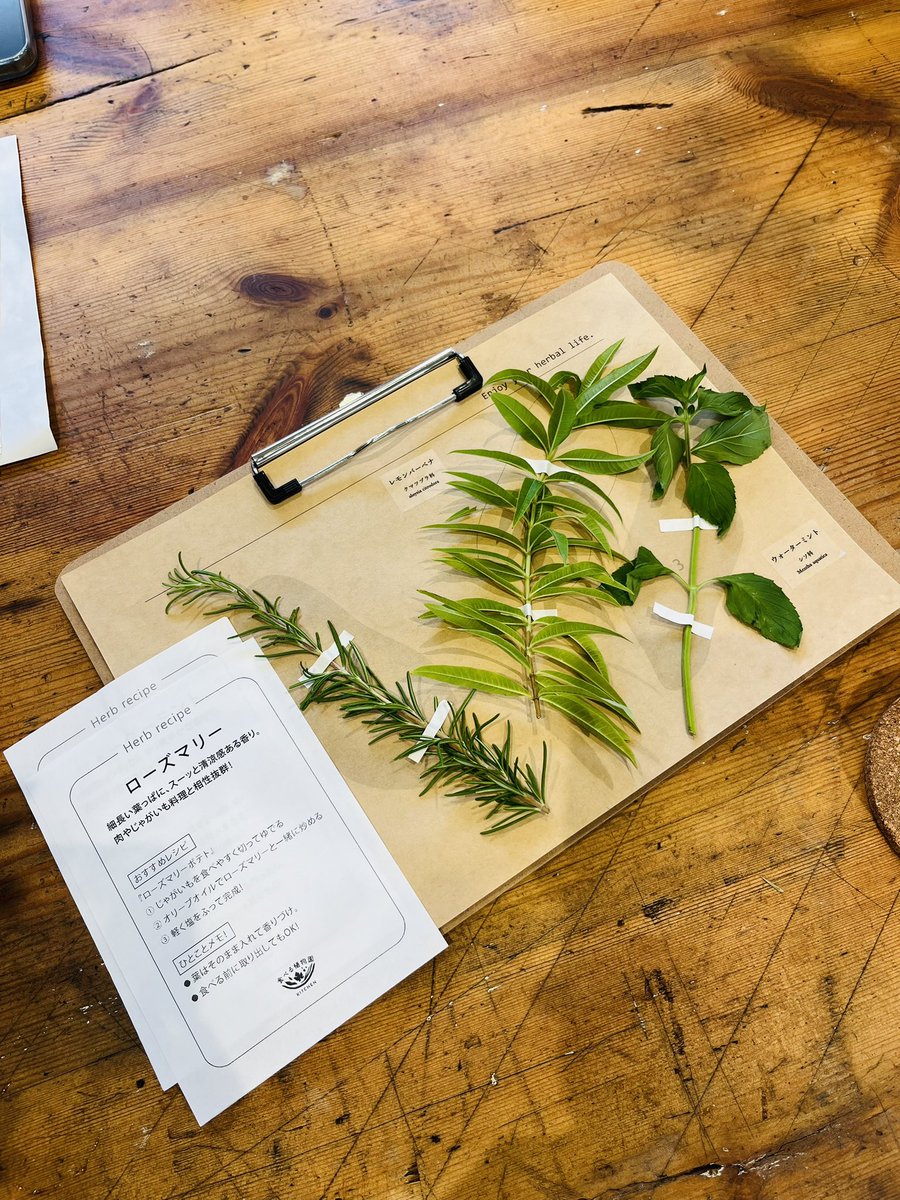 OpenAir_Brewing's tweet photo. 湊山醸造所のあるNATURE STUDIOに、食べる植物園がオープンしました🆕
今日はお庭のハーブ採集体験に。採集したら2階でハーブティーを飲みながら標本作り🗒️
夏休みのような昼休み🌞今日のおつまみはローズマリーポテトにしよう🥔🍻　@NatureStudio_K https://t.co/ubiBb2ABc4