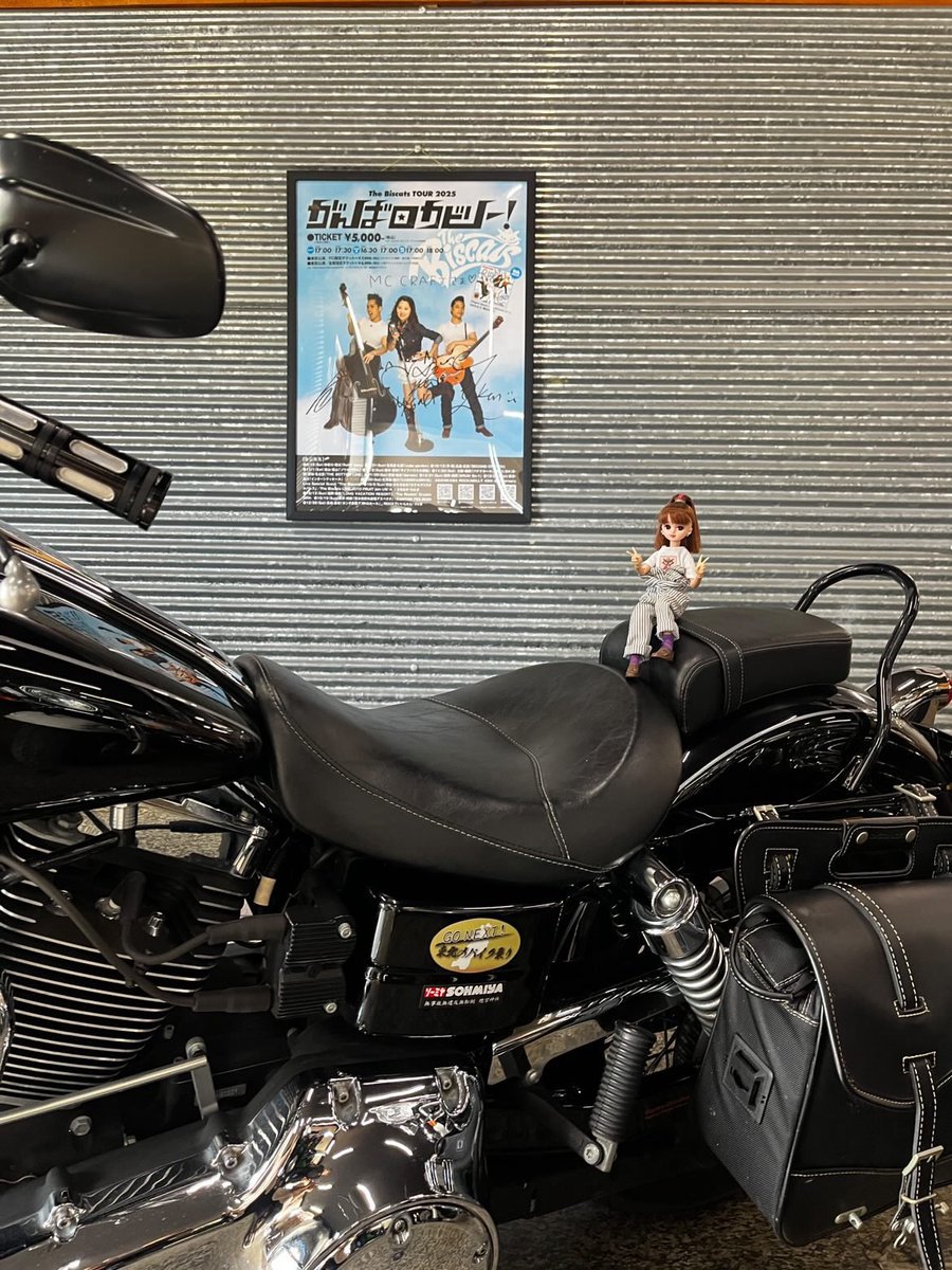 MC CRAFT様
ありがとうございます🐈‍⬛

The Biscats TOUR 2025
『がんばロカビリー』チケット発売中‼︎
eplus.jp/thebiscats/

仙台公演は11月29日(土)
仙台darwin にて開催！

The Biscats TOUR 2025
『がんばロカビリー』の
ポスターを張っていただけるお店・施設を募集中‼︎