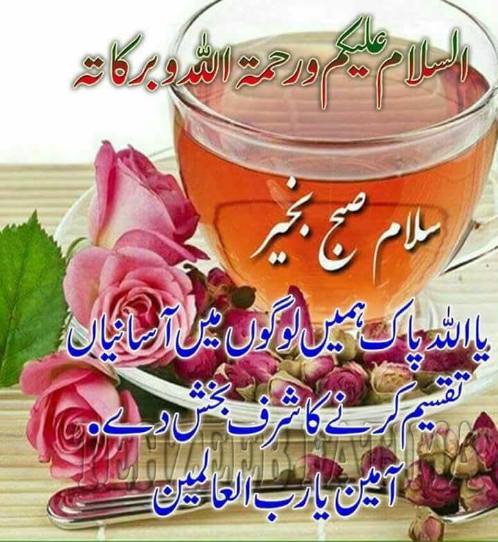 Syeda1425's tweet image. Good morning guys with happy vibes and blessings ahead stay tuned 🌄💐💕