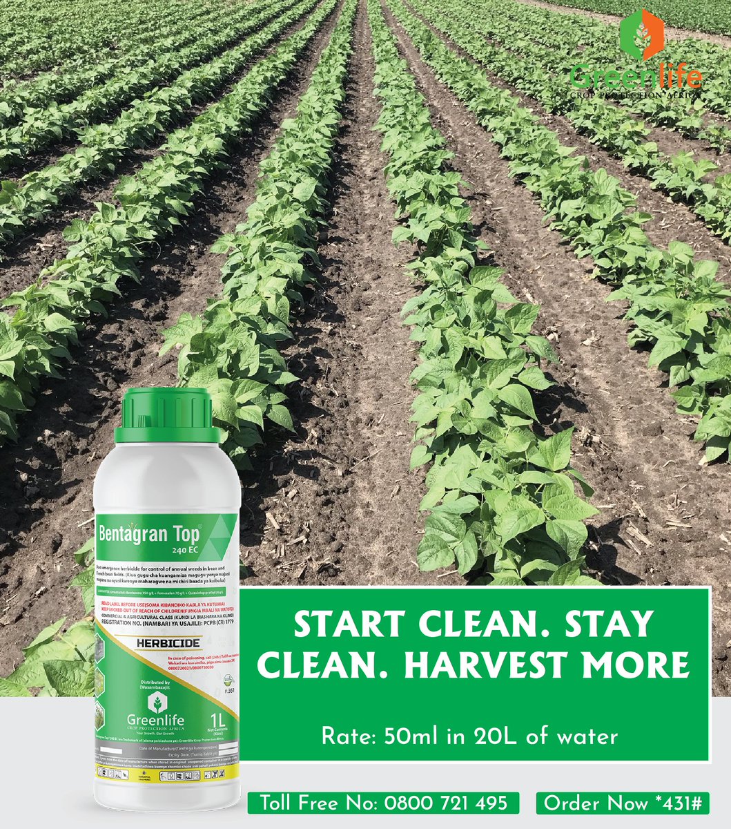 Are you a bean farmer tired of battling weeds?
Say goodbye to unwanted competition in your field with Bentagran Top 240EC the selective herbicide specially formulated for beans.
Apply just 50ml in 20L of water at the 3-leaf stage, and let your crop grow strong and weed-free all