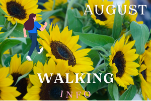 8月のウォーキング情報を紹介しています🚶‍♀️🚶‍♂️ | 横浜スポーツ情報サイト［ハマスポ］ hamaspo.com/topics/w202508 
#横浜　#ウォーキング　#ハマスポ　#よこはまウォーキングポイント