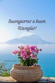 Marianna tweet media