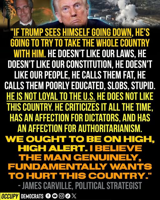 Poppy 💫🇦🇺☮🍅🥒🥕🥭🍊🍋 (@trevor_allan_1) on Twitter photo 