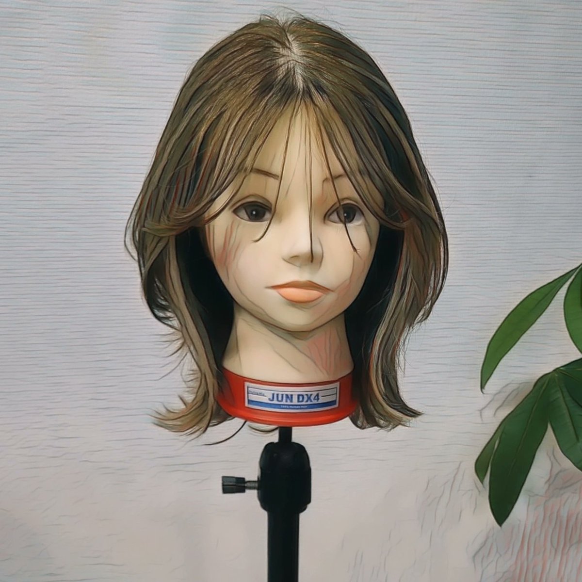 初めてご来店のお客様へ
カット＋パーマ￥9500～
カット＋カラー￥8750～
カット￥4000～
カット＋ストレート￥9500～
と大変お得になっております！
是非、ご利用ください！

必ず綺麗になれるサロン。
詳しくはホームページにて
#つくば美容室 #シマつくば #研究学園