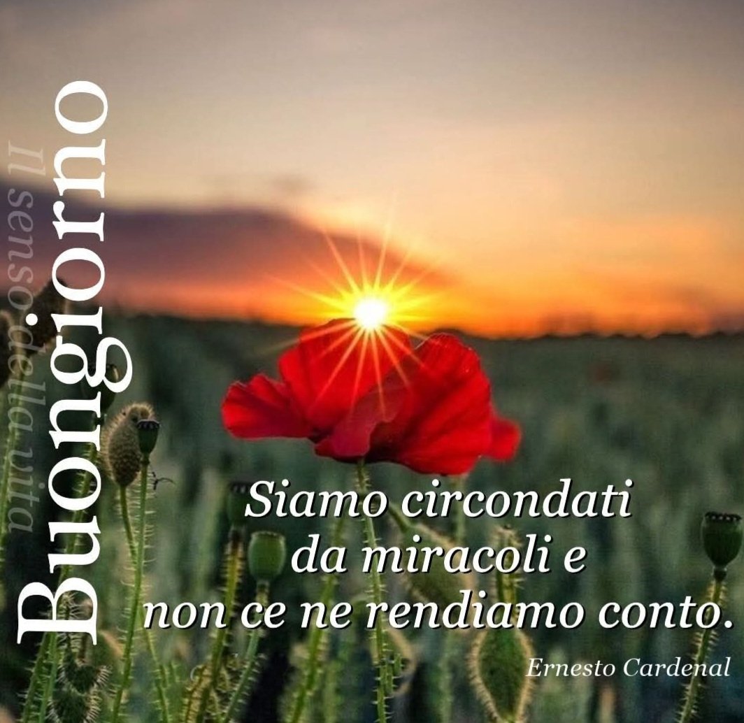 AldoStrippoli3's tweet image. Buongiorno a tutti.