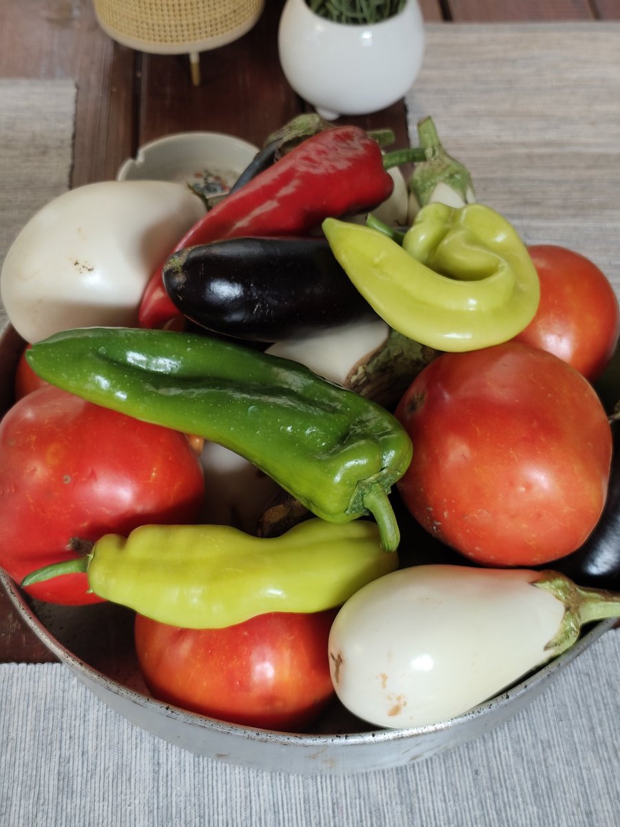 Να σας ξυπνάει ο γείτονας έτσι όμορφα και εσάς ευχομαι 😂😂😂😂😂😂