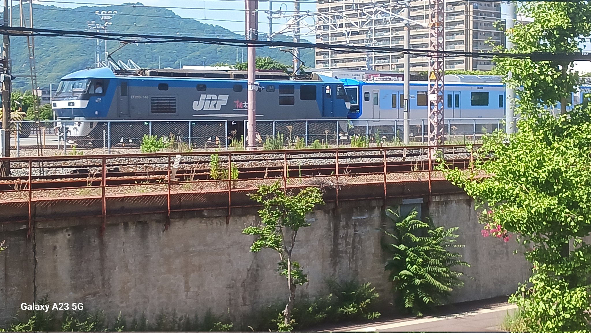 瀬戸海外輸出里帰り花台 朗堂 31fコンテナ U51A-39500番台タイプ 日本梱包運輸倉庫 C