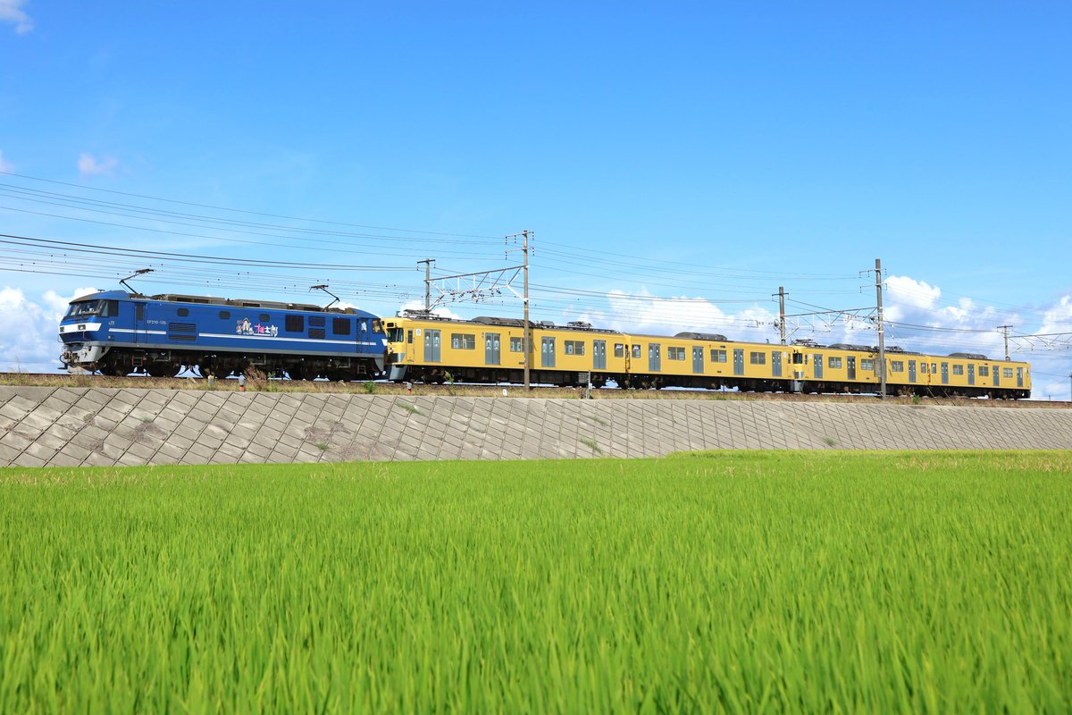 2025/07/27
9863レ 近江鉄道譲渡甲種
EF210-125+2417F+2419F
岡崎～西岡崎にて