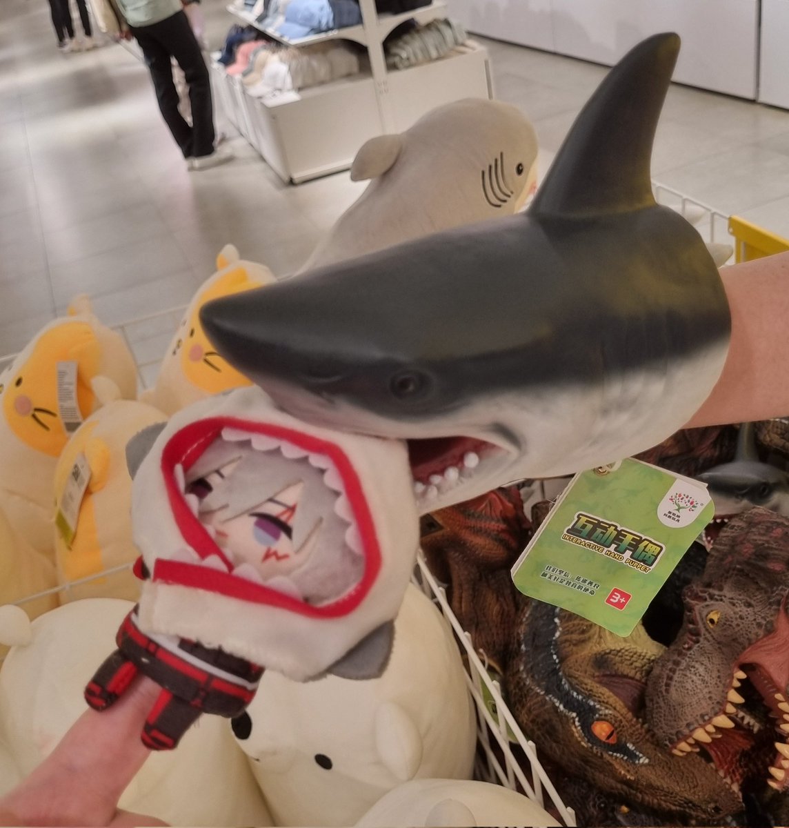 jenengkufeli's tweet image. Shark bait hu ha ha