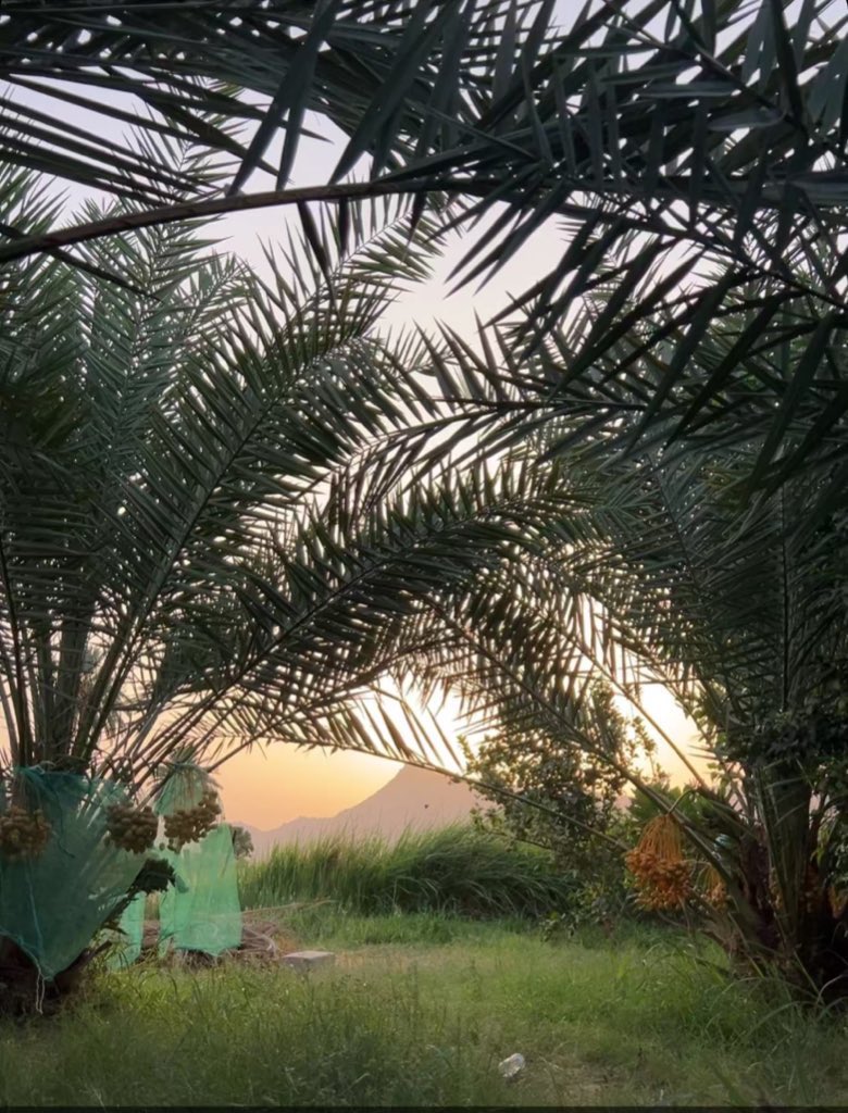 اللهم بك أصبحنا، وبك أمسينا، وبك نحيا وبك نموت وإليك النشور 

#غزوة_بدر_الكبرى