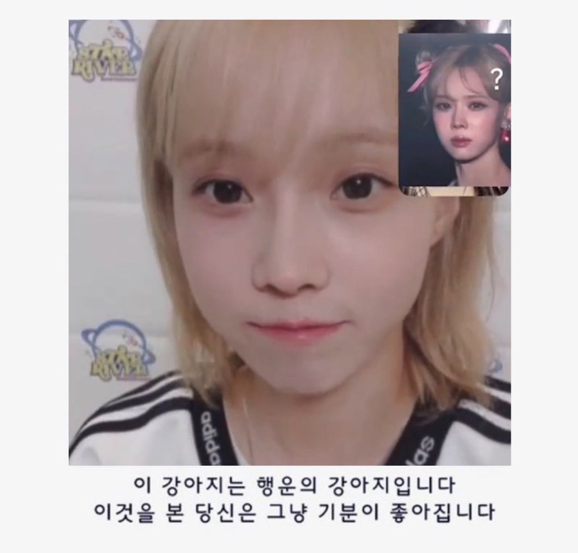 wntercming's tweet image. 오전내내 기빨려서 ㄹ힐링템필요