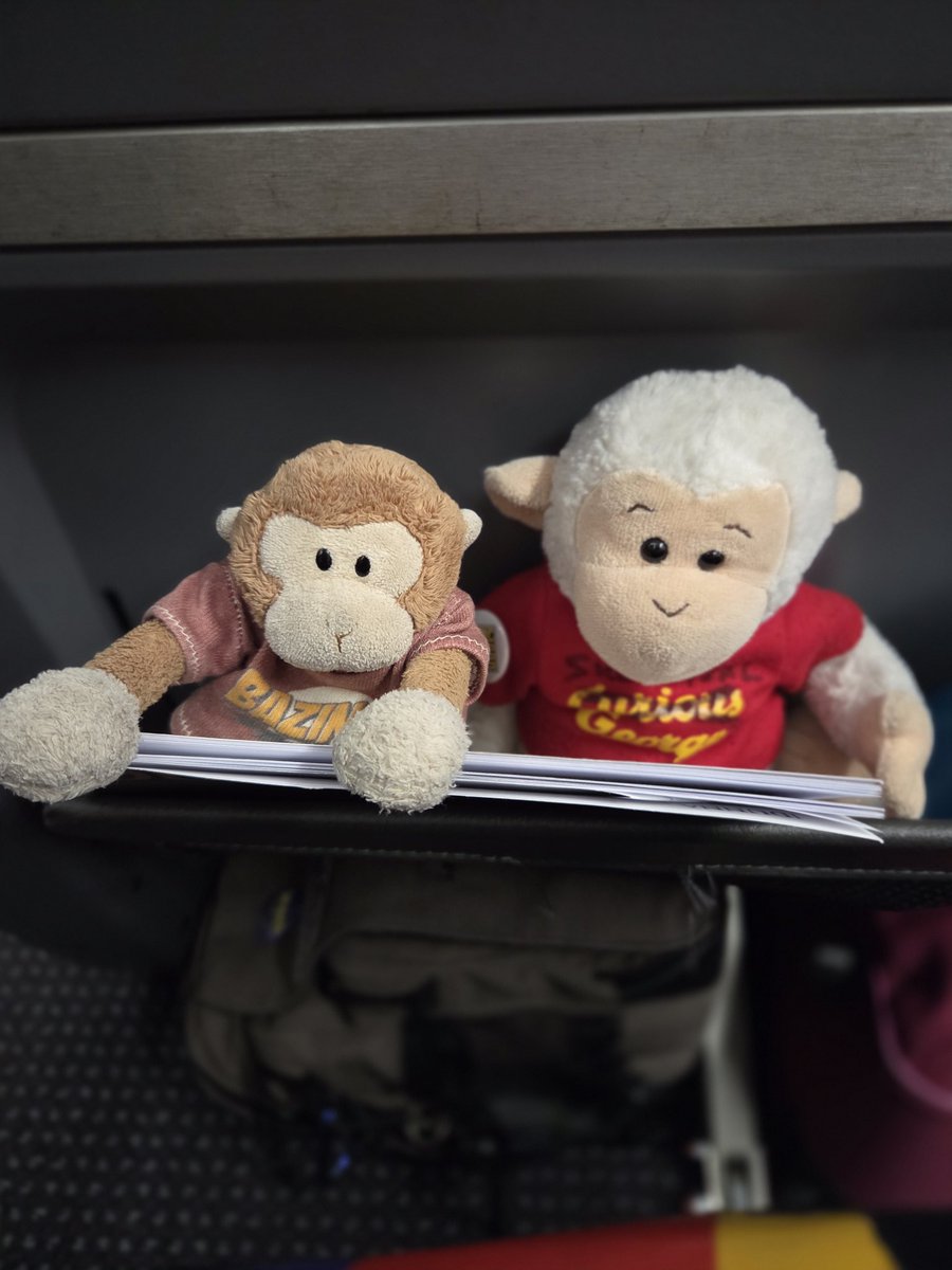 TravelingMocha's tweet photo. Skeptical George and I have boarded the flight home. Comic-Con is truly over... until next year! #MonkeyBusiness #SANtoPHL #SDCC #ComicCon #AfterSDCC https://t.co/XzCYsE957B