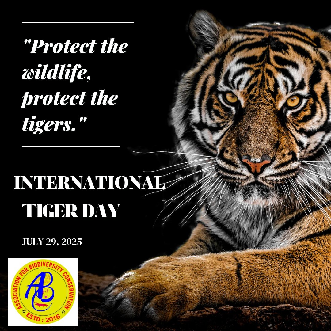abioconserve's tweet photo. "A world without Tigers 🐅 🐅 🐯 is a Jungle without Soul - Roar for their rights, Protects their Pride!"
#InternationalTigerDay #Tigers #Conservation #tigerconservation https://t.co/mYPjVBlNqO