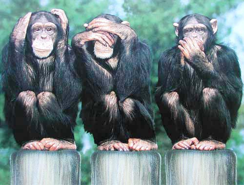 SebastianG_De's tweet image. Die Wähler von SPD, CDU, FDP, Linke und Grünen. (Symbolbild)