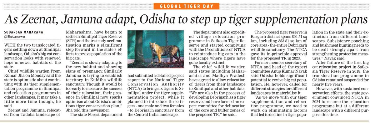 #InternationalTigerDay | #Odisha to step up tiger supplementation plans as Zeenat, Jamuna adapt to Similipal landscape | <a href="/Sud_TNIE/">Sudarsan Maharana</a>'s report 

<a href="/NewIndianXpress/">The New Indian Express</a> <a href="/santwana99/">santwanabhattacharya</a>
<a href="/Siba_TNIE/">Siba Mohanty</a>

newindianexpress.com/states/odisha/…