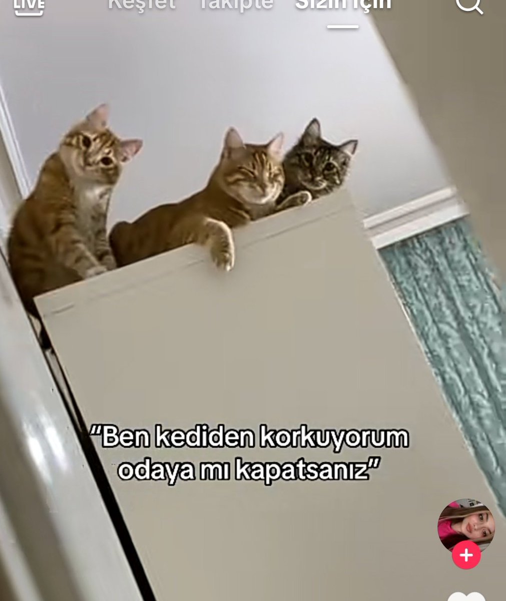 tasipne's tweet image. YA SUNLARA BAKİN AAAAAĞĞĞĞ