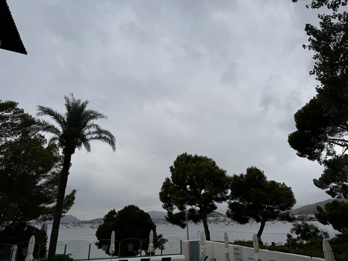 Buongiorno. Un po’ nuvoloso ☁️ e 💨 stamattina. Ma dovrebbe migliorare 😄