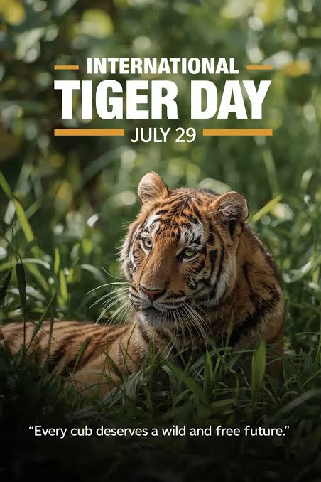 brikshedu's tweet photo. #savetigers https://t.co/z46yo51F7O