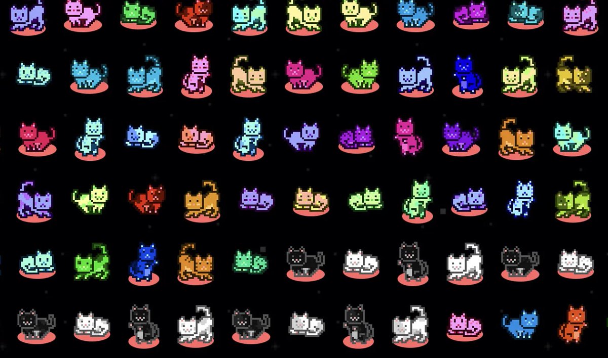 notwarrenETH's tweet photo. Don’t fade @mooncatrescue 🧠✨ https://t.co/iSAPC8wt5s