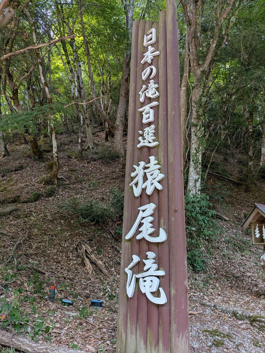 Tok_San76's tweet image. 滝