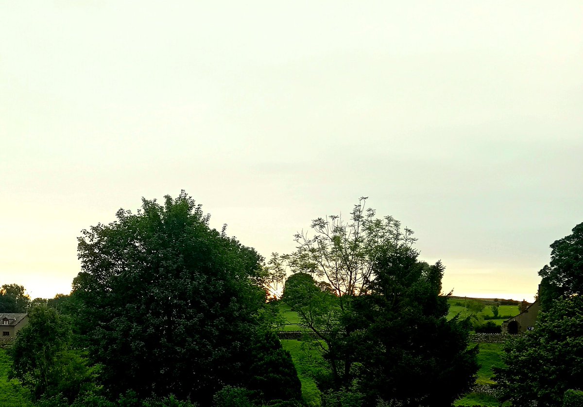 LordBriRobert1's tweet image. Sol rising (weakly) o'er t'crags.
As per!
I know Sir Keef claimed friendship with Sadiq in an effort to contain the splendid exuberance of DJT, but has he yet got around to telling him his dad was a toolmaker.
Although, TBF, I'm guessing DJT already figured that out.
Morning all: